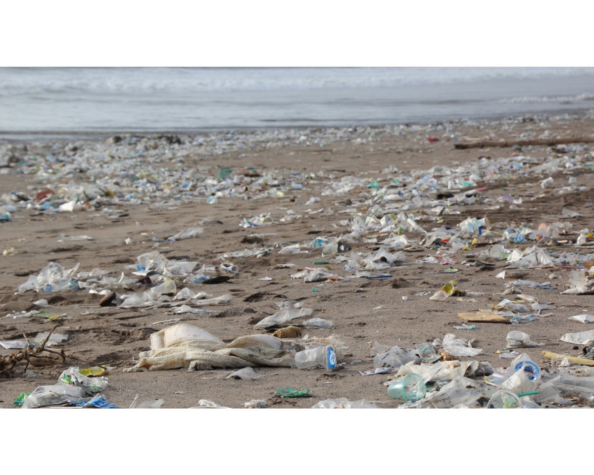 L’impact de la pollution au plastique sur la planète