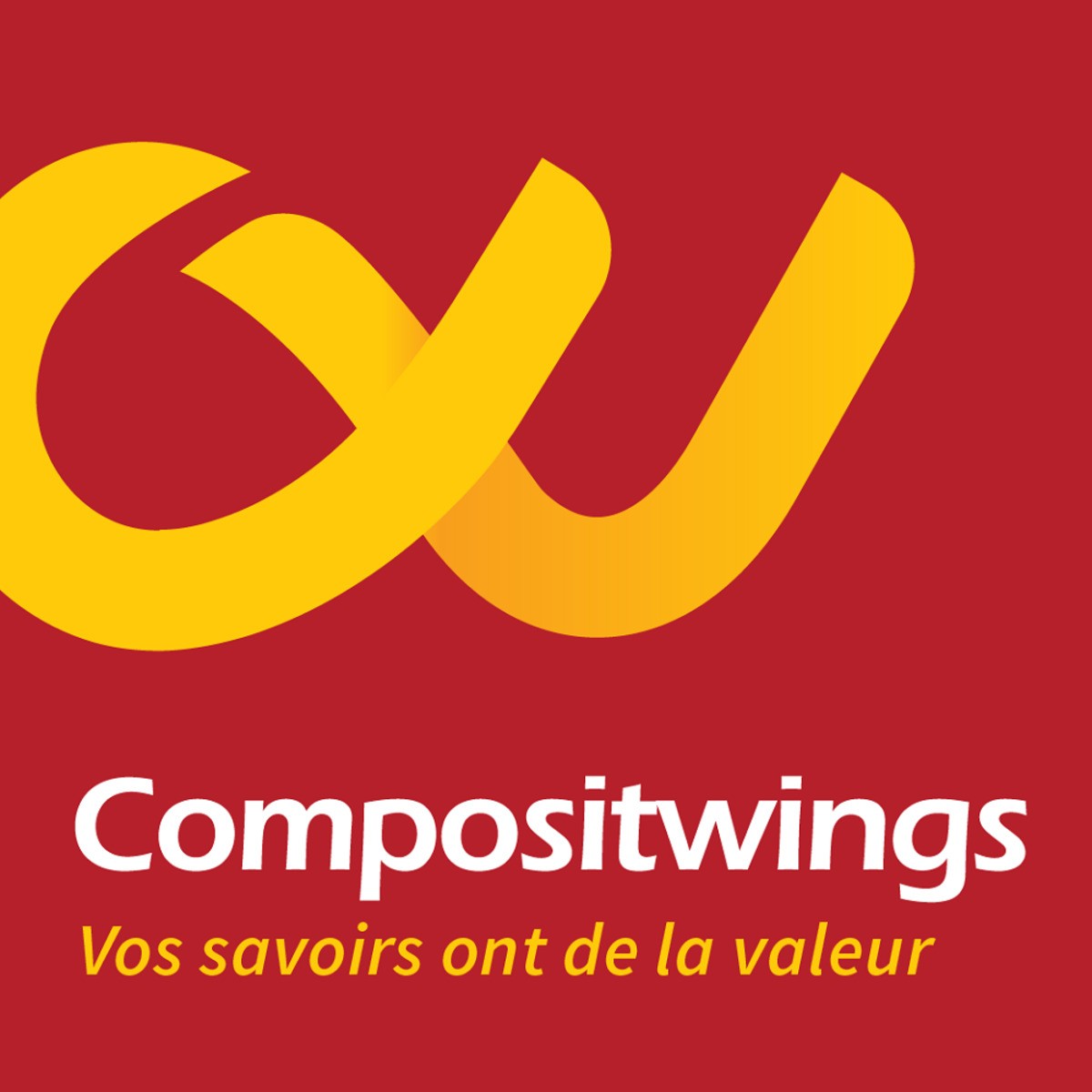 COMPOSITWINGS
