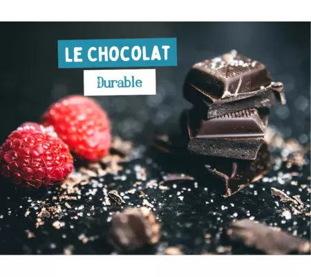 Le chocolat NUCAO : un exemple d\'économie circulaire dans ce secteur