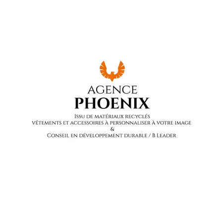 organisme-Agence Phoenix Sàrl