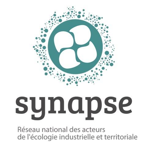 Result of the survey “needs, expectations and contributions within the SYNAPSE Network”