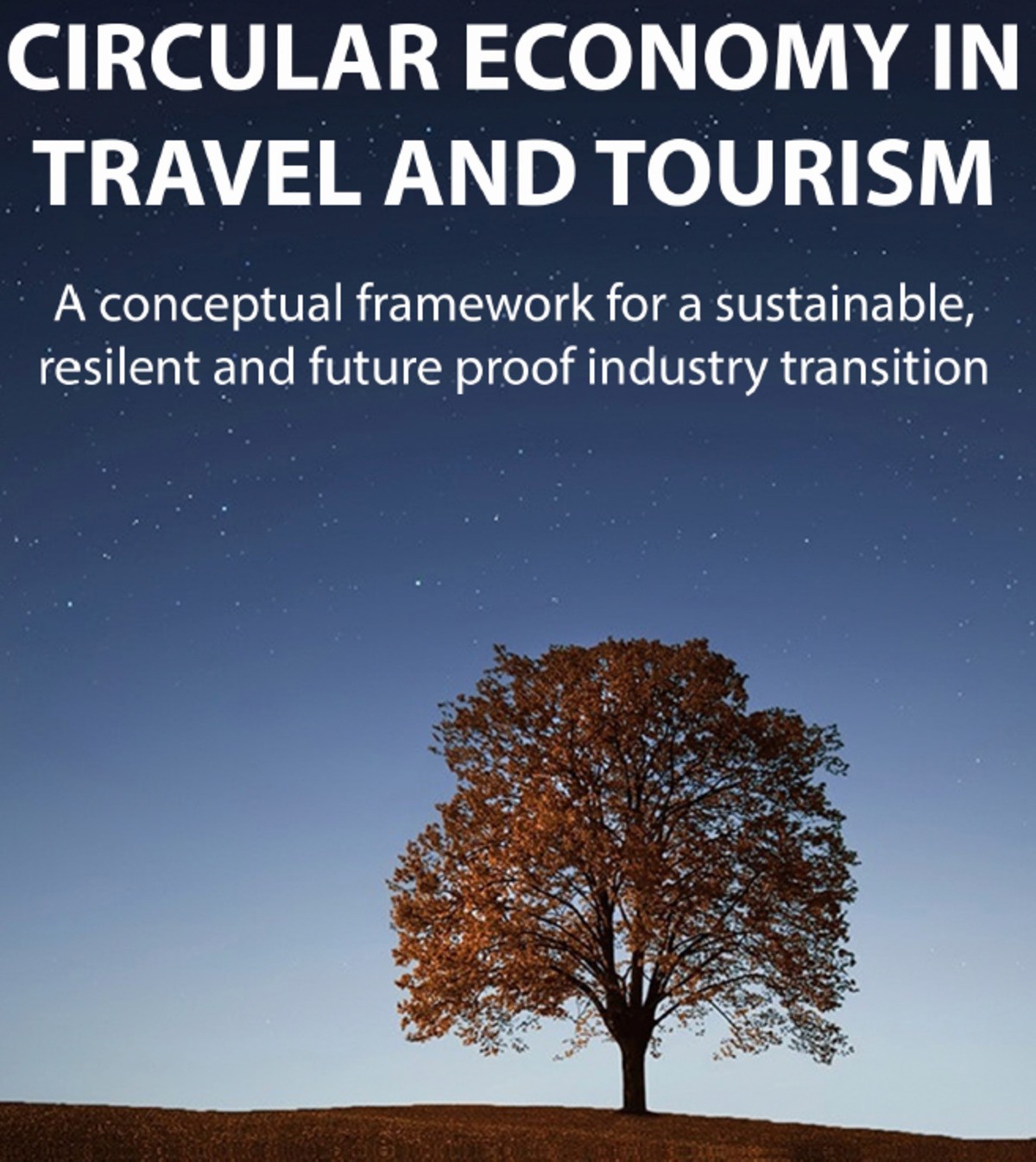 Circular Economy in Tourism