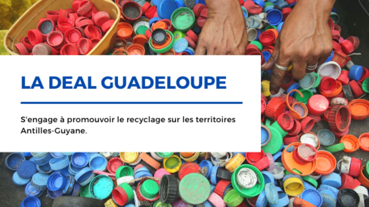 Recyclage sur les territoires Antilles - Guyane