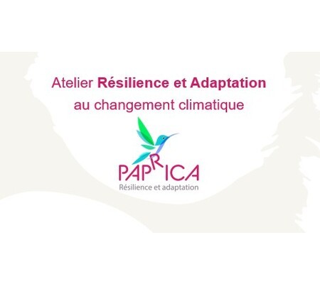 Atelier Résilience et adaptation aux changements climatiques 