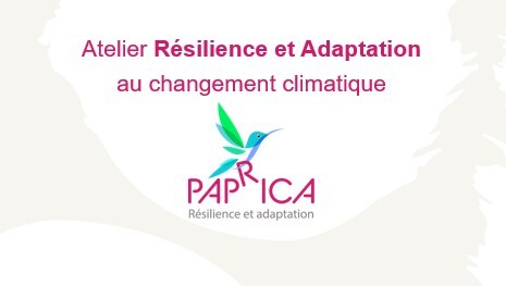 Atelier Résilience et adaptation aux changements climatiques 