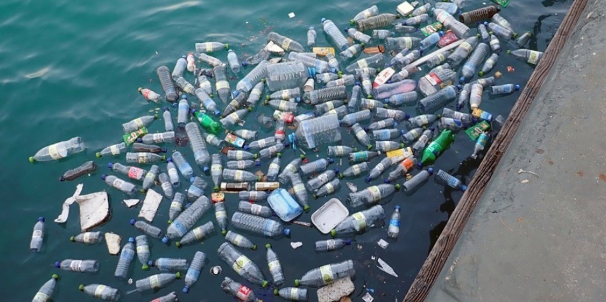 L'Académie de sciences se penche sur la pollution plastique : la nécessité d'une démarche de rupture